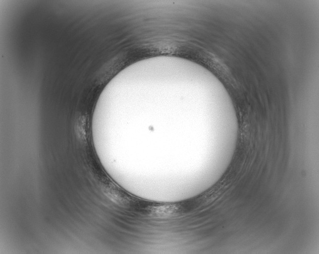 X0000067840122200605041659