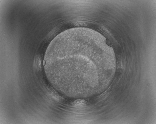 X0000067840124200605041659