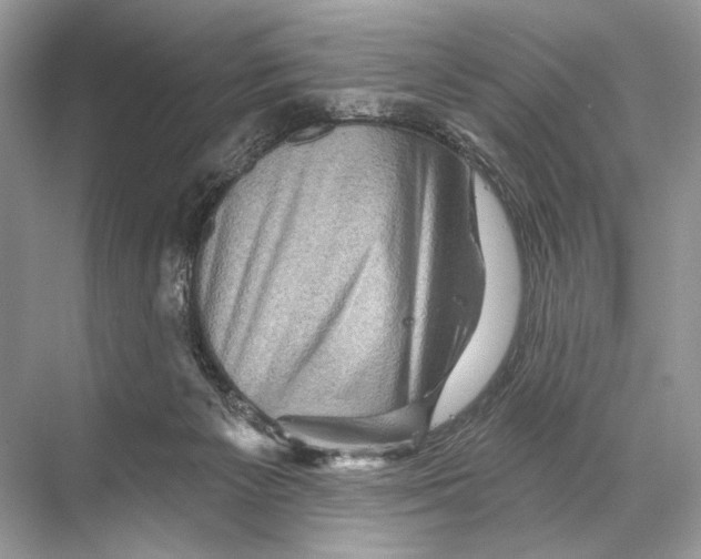 X0000067840125200605041659