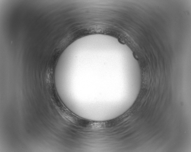 X0000067840126200605041659