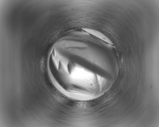 X0000067840127200605041659