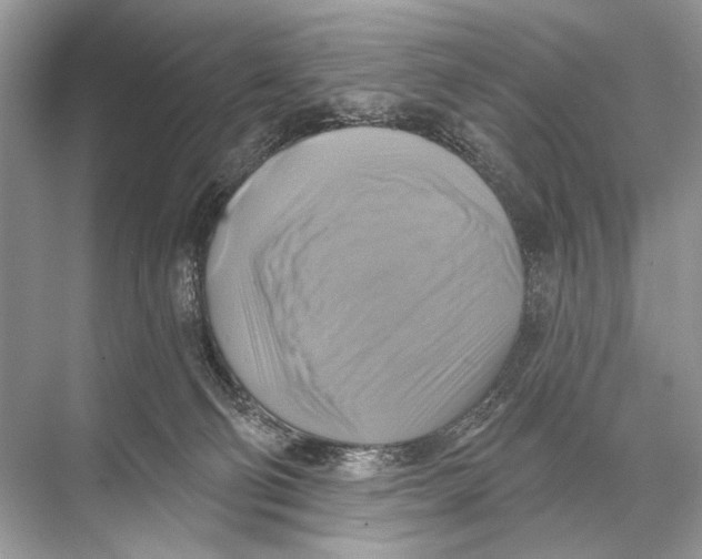 X0000067840130200605041659