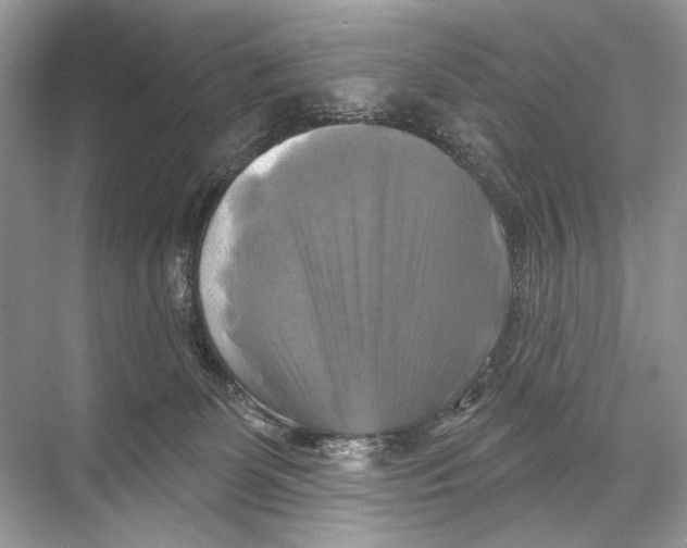 X0000067840131200605041659