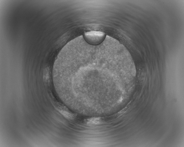 X0000067840132200605041659