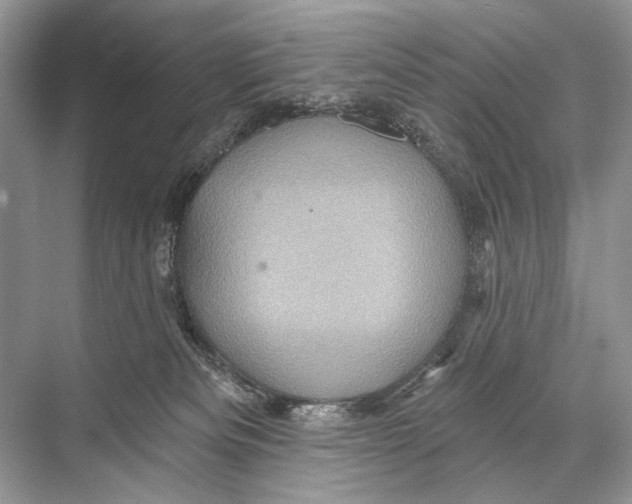 X0000067840133200605041659