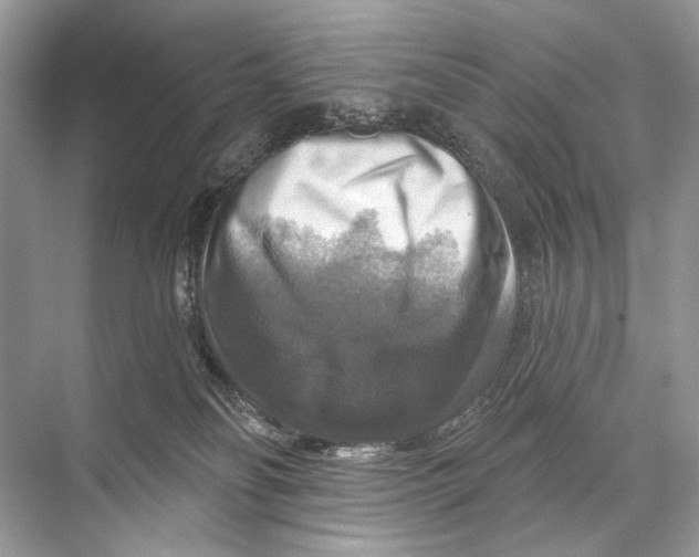 X0000067840134200605041659