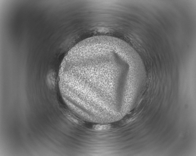 X0000067840135200605041659