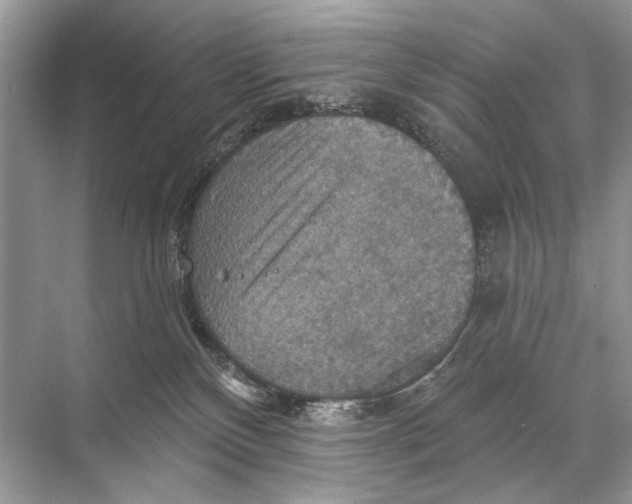 X0000067840136200605041659