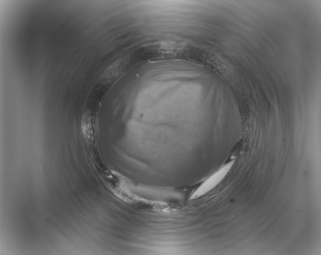 X0000067840137200605041659