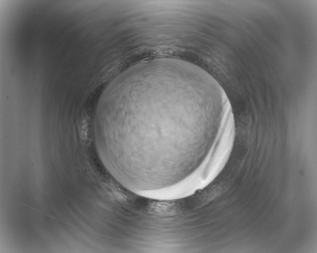 X0000067840139200605041659