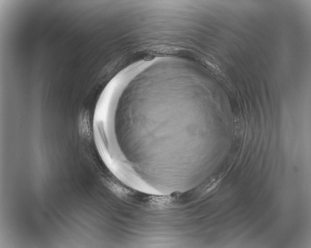 X0000067840143200605041659