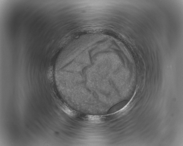 X0000067840144200605041659