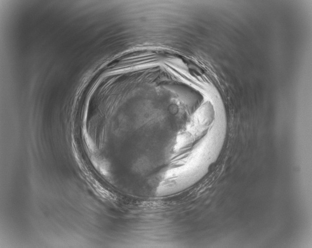 X0000067840145200605041658