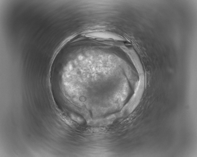 X0000067840147200605041658