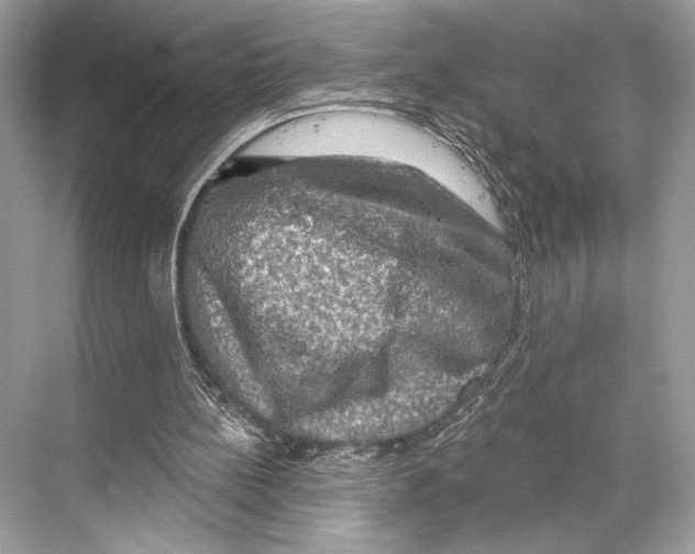 X0000067840148200605041658