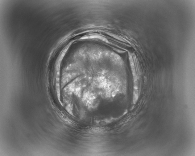 X0000067840149200605041658