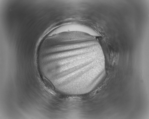 X0000067840150200605041658