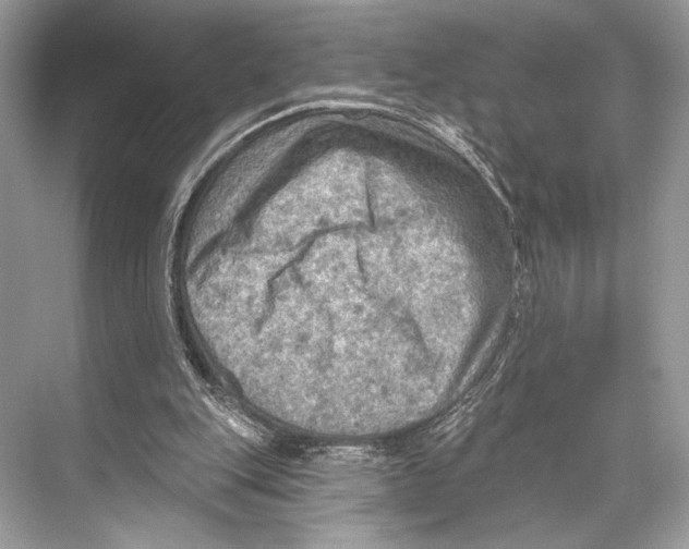 X0000067840151200605041658