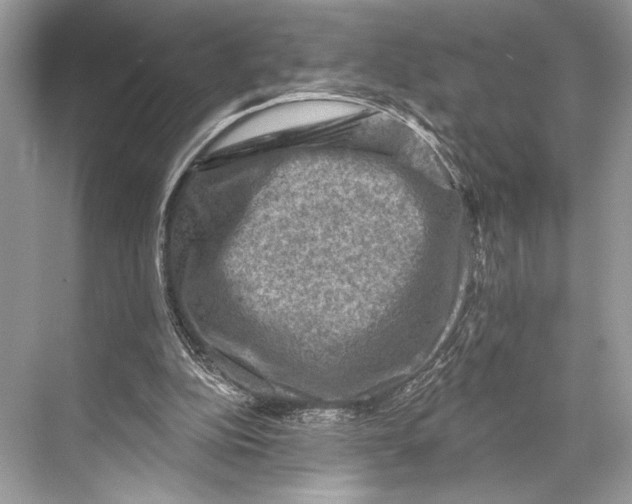 X0000067840152200605041658