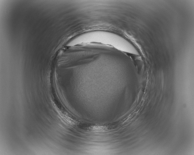 X0000067840154200605041658