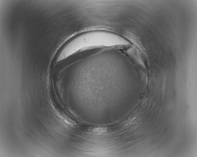 X0000067840156200605041658