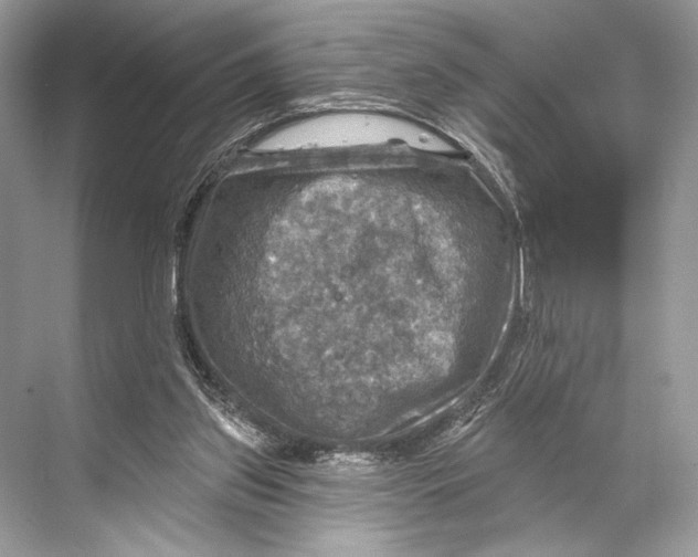 X0000067840157200605041658