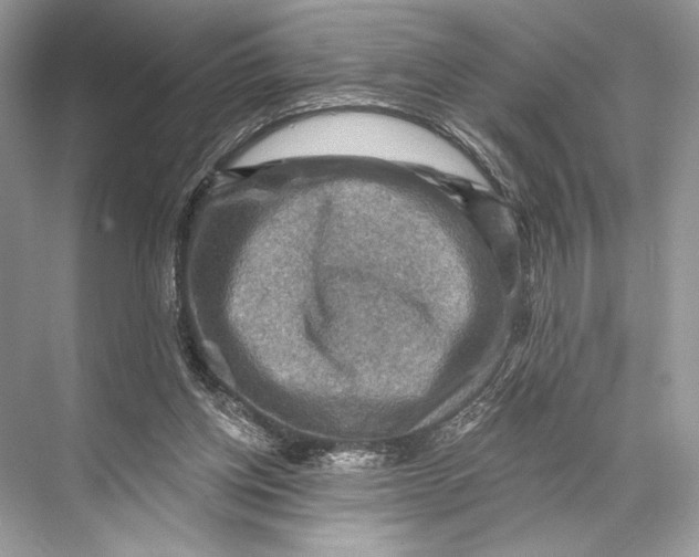 X0000067840158200605041658