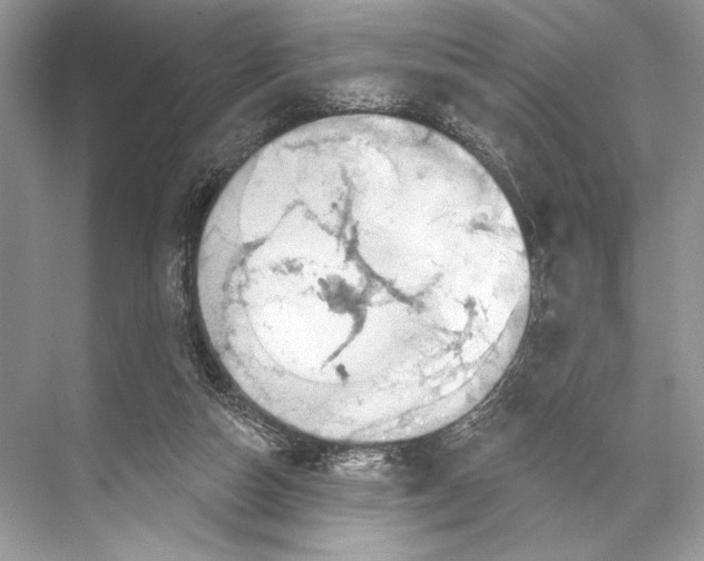 X0000067840162200605041658