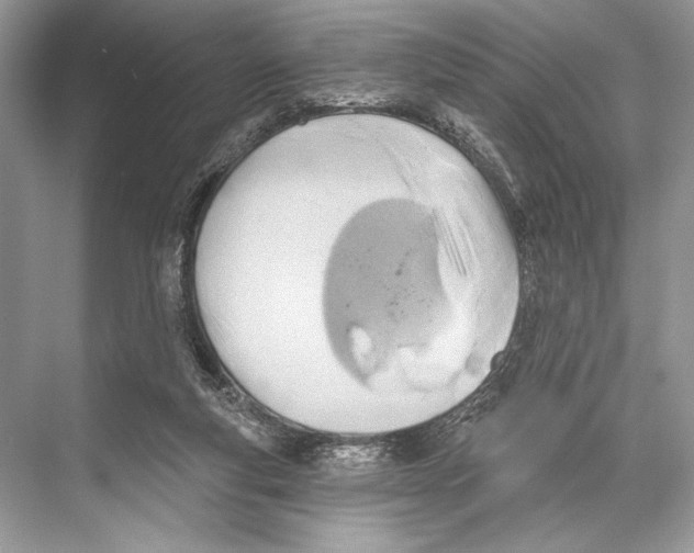 X0000067840163200605041658