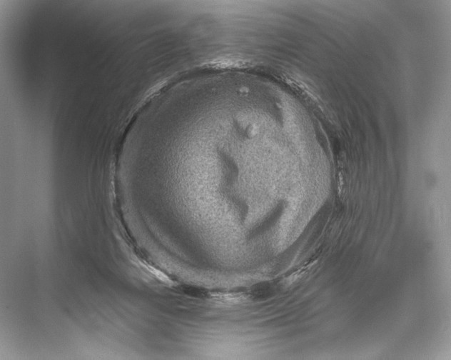 X0000067840164200605041658