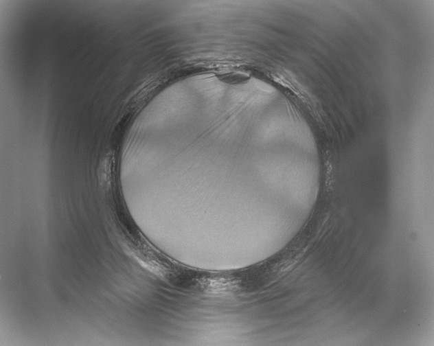 X0000067840165200605041658