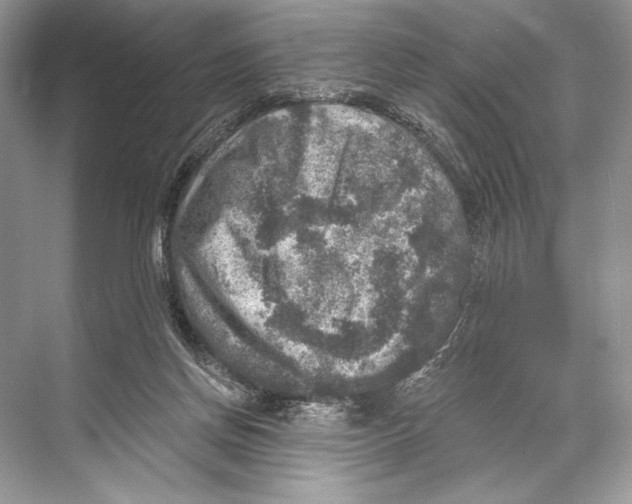 X0000067840166200605041658