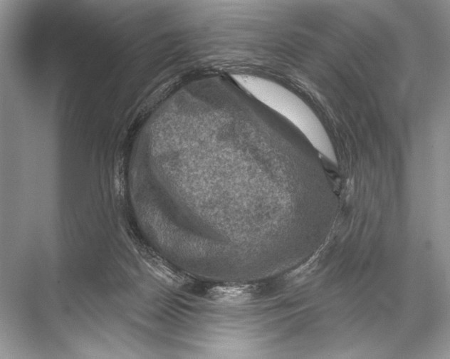 X0000067840170200605041658