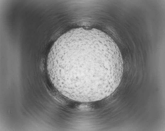 X0000067840171200605041658