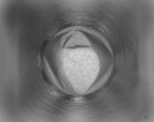 X0000067840173200605041659