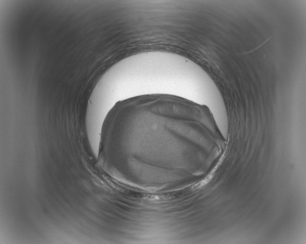 X0000067840174200605041659