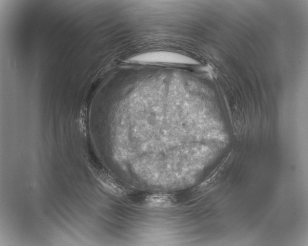 X0000067840175200605041659