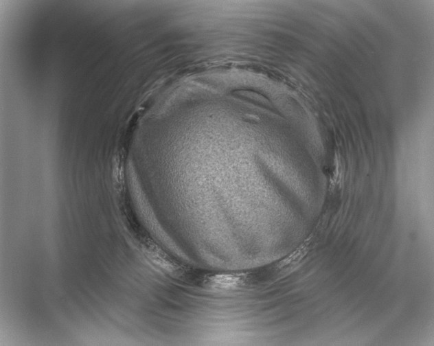 X0000067840176200605041659