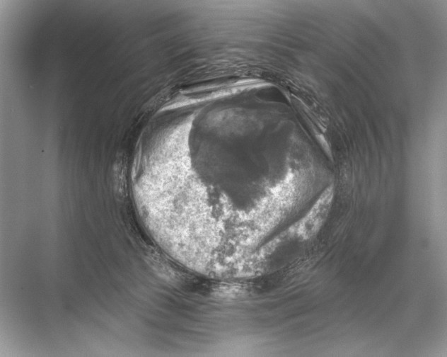 X0000067840177200605041659