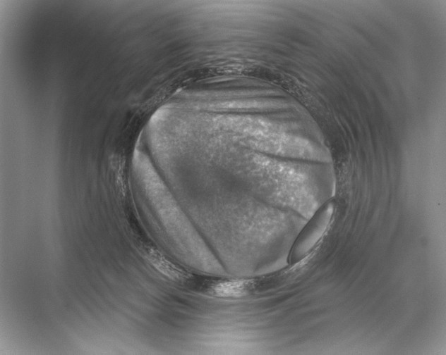 X0000067840178200605041659