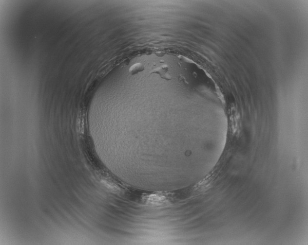 X0000067840180200605041659