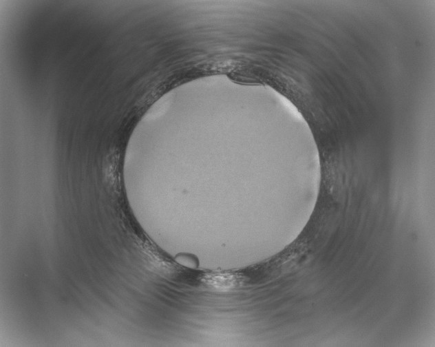 X0000067840181200605041659