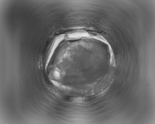 X0000067840182200605041659