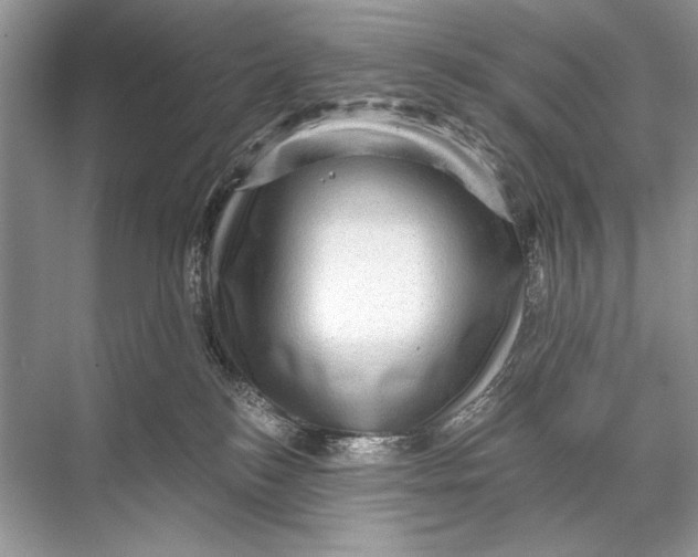 X0000067840184200605041659