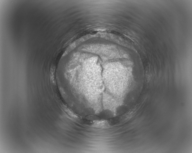 X0000067840185200605041659