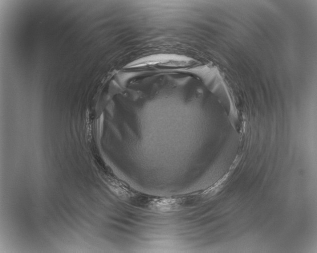 X0000067840186200605041659