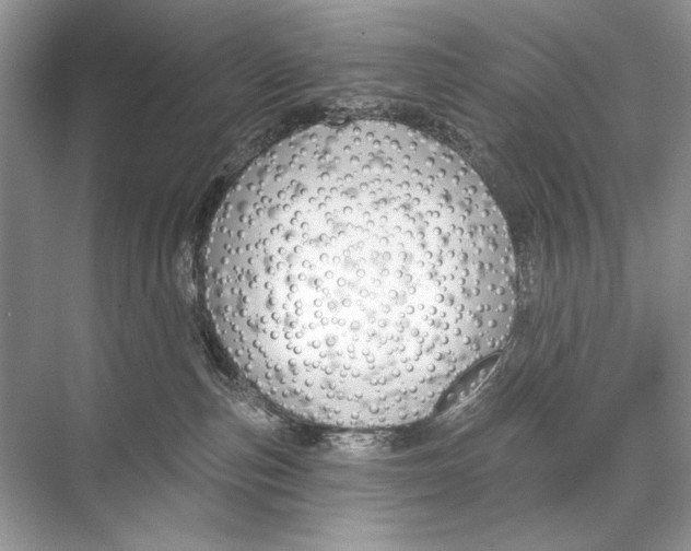 X0000067840187200605041659