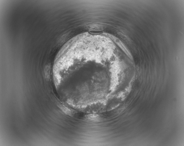 X0000067840189200605041659