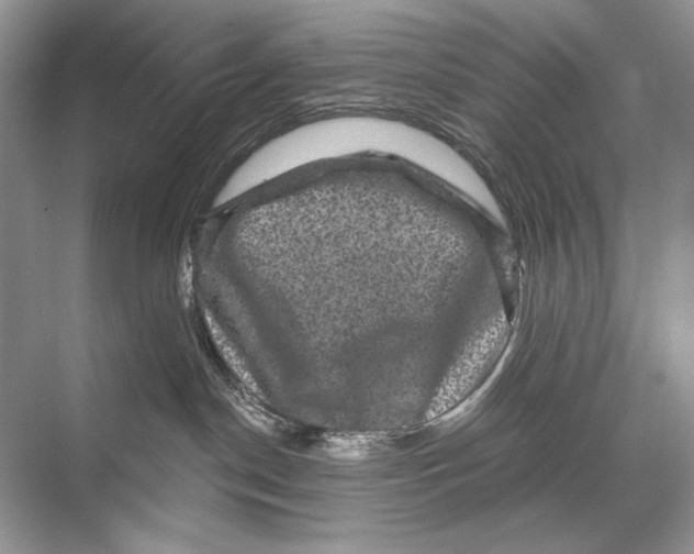 X0000067840190200605041659