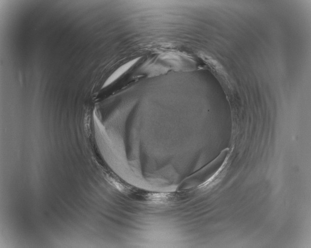 X0000067840192200605041659